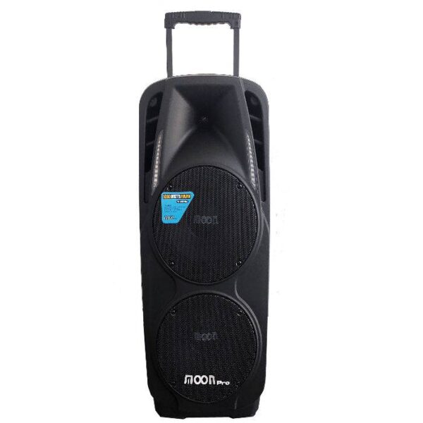 BAFLE POTENCIADO DOBLE DE 10" CON USB, SD, BLUETOOTH, RADIO, PANTALLA, C.R. WILD210AUP - Image 4