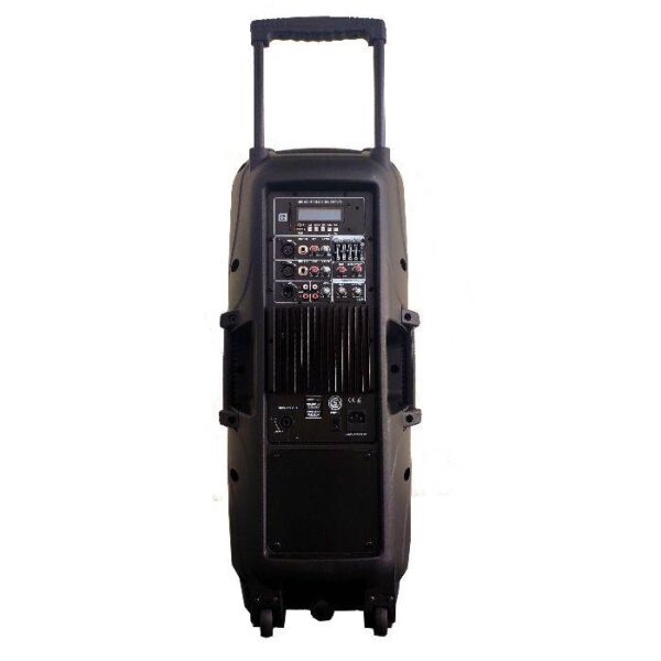 BAFLE POTENCIADO DOBLE DE 10" CON USB, SD, BLUETOOTH, RADIO, PANTALLA, C.R. WILD210AUP - Image 5