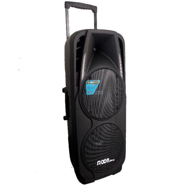 BAFLE POTENCIADO DOBLE DE 10" CON USB, SD, BLUETOOTH, RADIO, PANTALLA, C.R. WILD210AUP