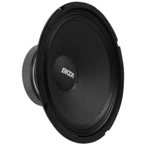 PARLANTE 10" 4 OHMS