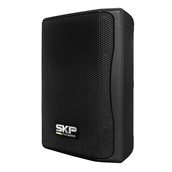 Bafle Potenciado  y pasivo combo SK-208PX - Image 3