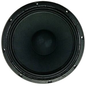 PARLANTE DE 12" DE NEODIMIO