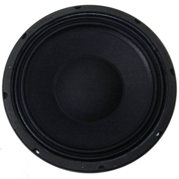 PARLANTE DE 10" DE NEODIMIO - Image 4