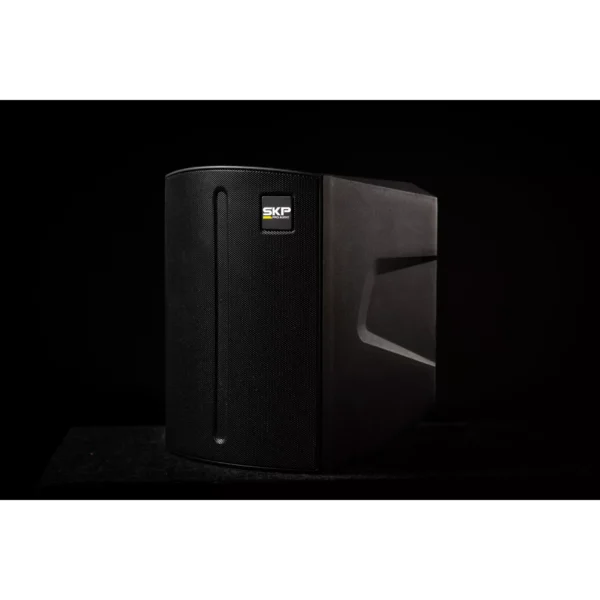 Bafle Activo Skp Q1 Pro Batería Bluetooth Woofer 6,5 3ch - Image 8